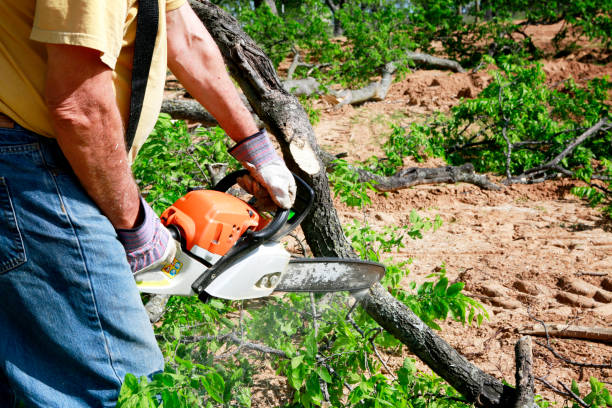 Landscape Design and Installation in Olmos Park, TX